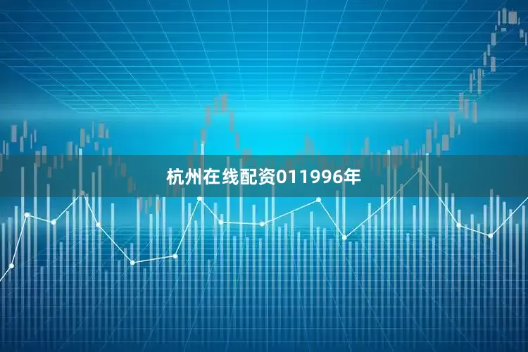 杭州在线配资　　01　　1996年