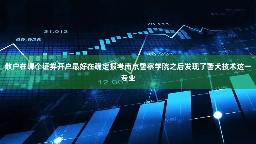 散户在哪个证券开户最好在确定报考南京警察学院之后发现了警犬技术这一专业